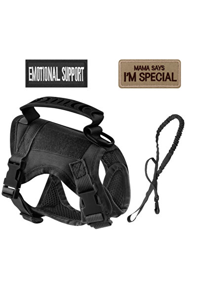 Choice طقم رقع لحزام قطط من النايلون التكتيكي باللون الأسود للقطط والكلاب الصغيرة، سترة عسكرية للتدريب على الكلاب في الهواء الطلق