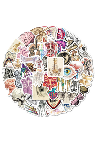 Choice ملصقات تشريحية وفسولوجية للجسم، متعددة الألوان، 50 قطعة، للهواتف المحمولة والكمبيوتر المحمول وحقائب السفر والدفتر