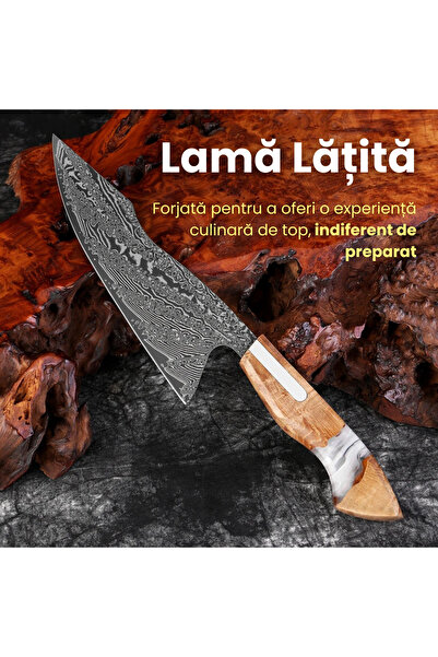 NEOSOR Professional Chef Knife 8 inch Damascus Steel 67 Layers, Ultra Sharp, Wooden Handle