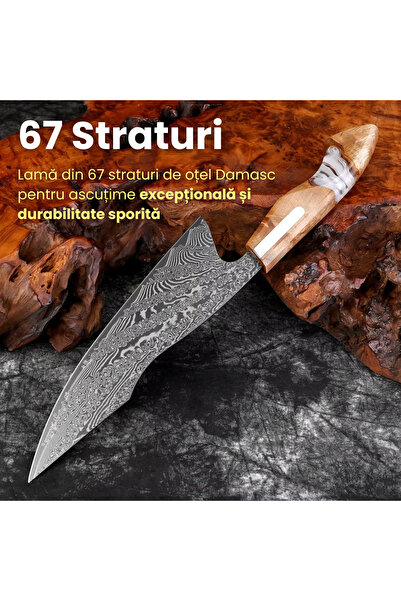 NEOSOR Professional Chef Knife 8 inch Damascus Steel 67 Layers, Ultra Sharp, Wooden Handle