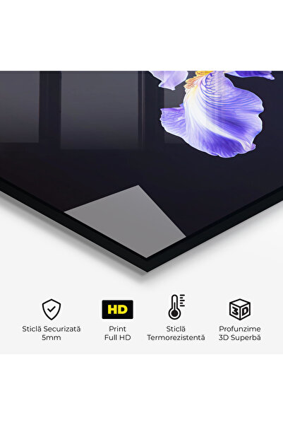Arthub Kitchen Glass Panel, Stove Protection, Heat Resistant, Flowers, Purple Iris On Black