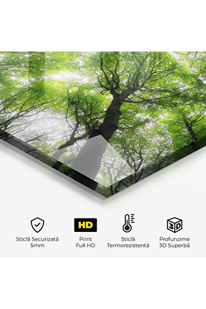 Arthub Kitchen Glass Panel, Stove Protection, Heat Resistant, Landscapes, Forest Green Tree