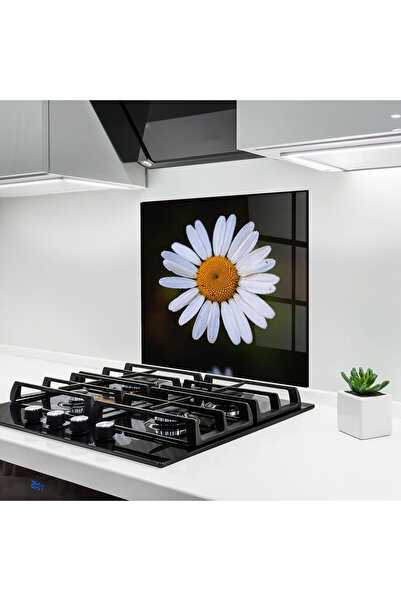 Arthub Kitchen Glass Panel, Stove Protection, Heat Resistant, Flowers, Big Ye...