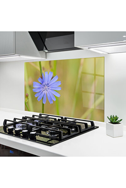 Arthub Kitchen Glass Panel, Stove Protection, Heat Resistant, Flowers, Wild P...