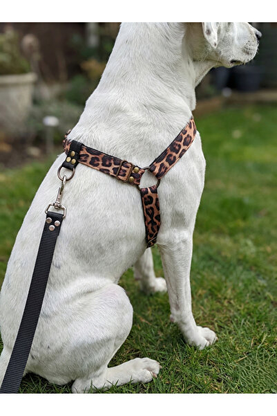 balkonda حزام صدر للكلاب مناسب للسلالات الكبيرة مع حبل سحب أمامي وخلفي قابل ل...