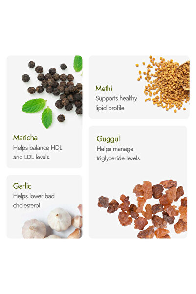 KAPİVA Cholest Fit Capsules - Maintains Healthy Cholesterol