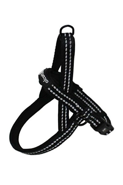 ALCOTT تسخير نرويجي صغير أسود