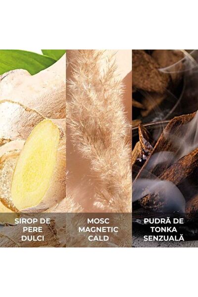 AVON Attraction Eau de Toilette for Him, 75 ml