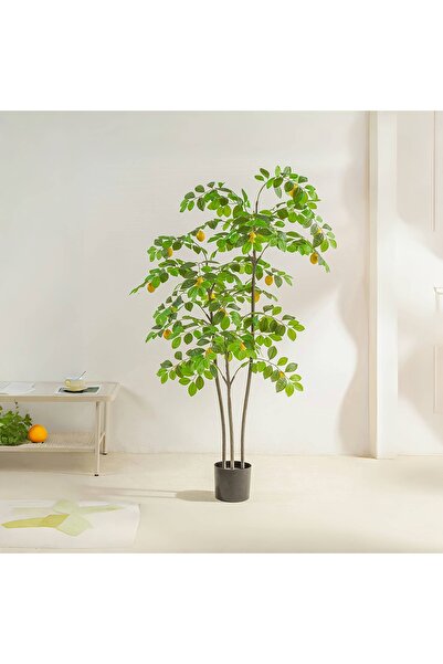 SCHENKERO 160cm (5.25ft) Fake Lemon Tree Realistic Lemons Dense Foliage Indoor Outdoor Garden Use.