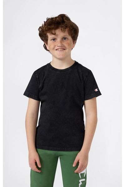 Champion Icons Plush Wash Short-Sleeve T-Shirt