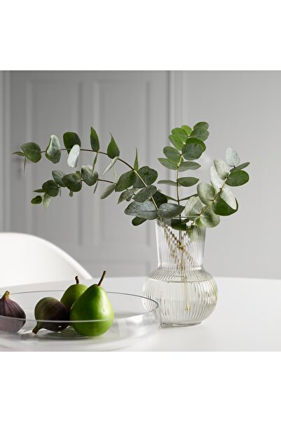 EliteEco IKEA Padrag Vase, clear glass, 17 cm