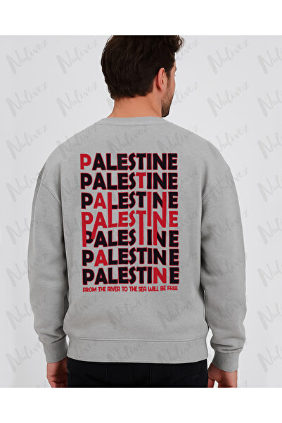 Nulivez Palestine Design Back Printed High Quality Unisex Oversized O Neck Sweatshirt