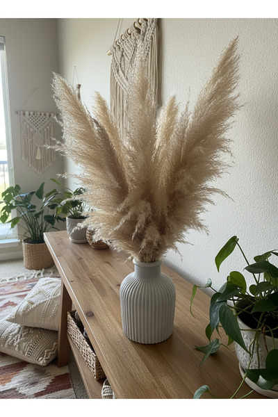 Nova Deco Vazo Rustic Bohem Ev Dekorasyon Siyah Beyaz Çizgili Modern Küçük Boy Pampas Çiçeklik