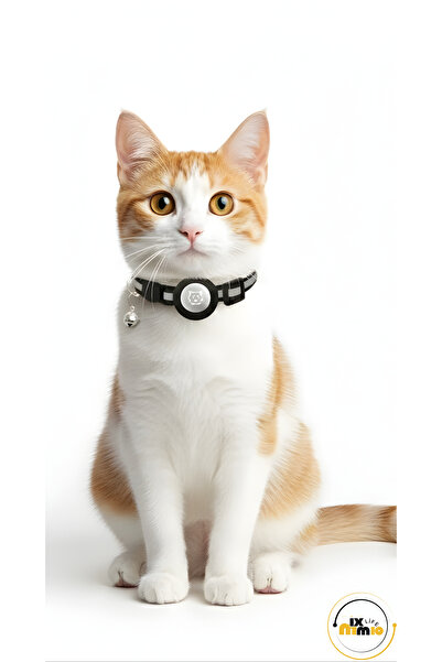 MixmioLife Airtag Yuvalı Kedi Ve Köpek Tasması Kilitli Güvenlik Aparatı Airta...