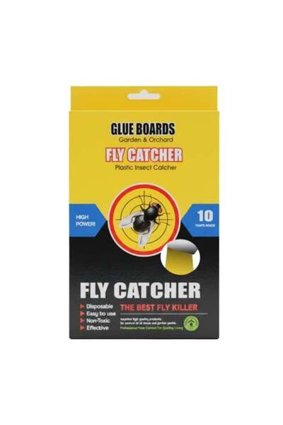 F05 مصيدة ذباب بلاستيكية لاصقة من فلاي كاتشر - 10 أوراق