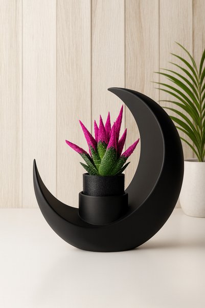 YSR HOME Ay Şeklinde Dekoratif biblo Saksı ve pembe,kırmızı Sukulent | Modern...