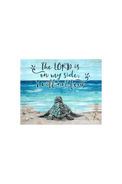 DIY Oil painting kit on canvas by numbers, turtle, 40x50cm cm,