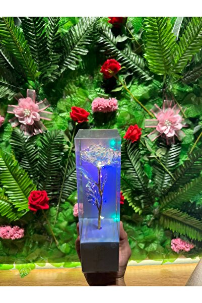 NO BRAND Beyaz Sonsuzluk Gülü Işıklı Kutulu