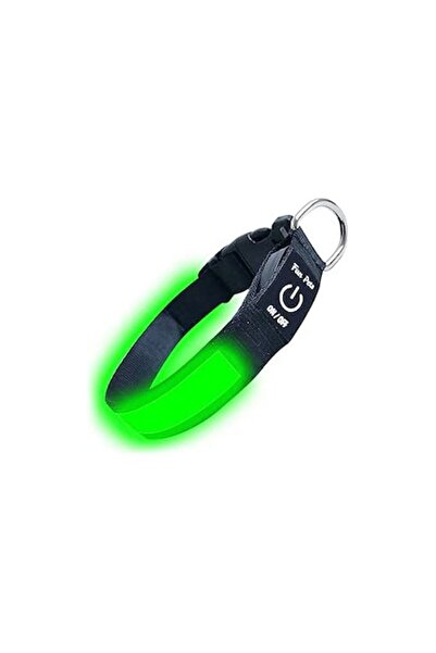OEM Fun Pets LED Dog Collar, USB Rechargeable, High Visibility, Weather-Resistant, Adjustable, Green, S