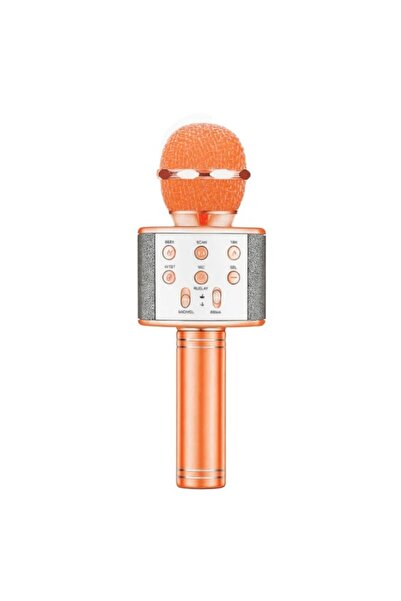 OEM Wireless Karaoke Microphone WS-858