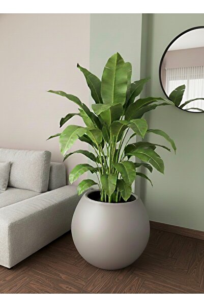 esm vase Dekoratif Küre Mocha İç Mekan Saksısı 35x42cm