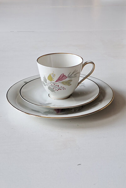 Bavaria Tirschenreuth, Dec. Hackefors Vintage Coffee Cup Set 3 Pieces 100 ml