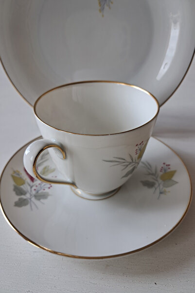 Bavaria Tirschenreuth, Dec. Hackefors Vintage Coffee Cup Set 3 Pieces 100 ml