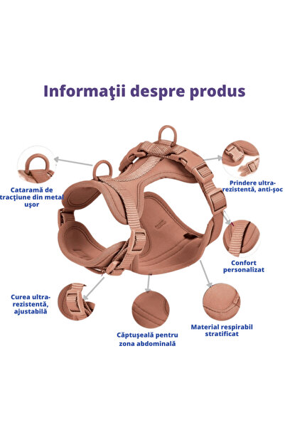 AMNIX AMNIX® Adjustable Harness Set for Dogs – Comfort, Safety and Control