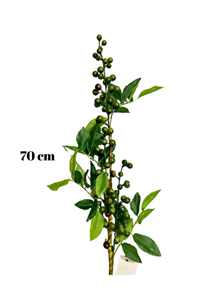 Home Yapay Yapraklı Soft Yeşil Kokina Dal 70 cm (1Adet)