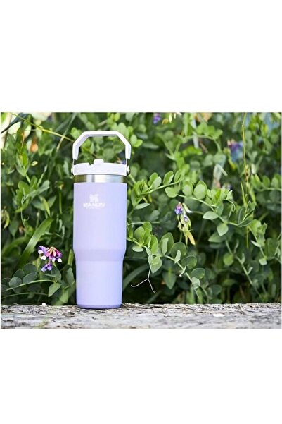 Generic Stanley 30oz Stainless Steel Tumbler