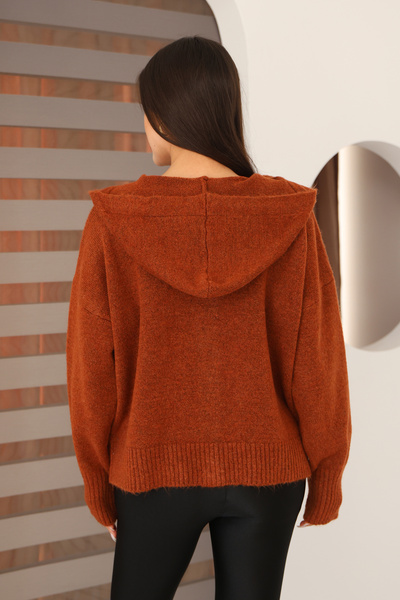 ALCHON Hooded Long Sleeve Lace-Up Four Button Soft Textured Stylish Standard Length Winter Basic Knitwear Cardigan