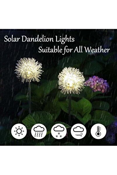 Generic 1 Set Of 2 Solar Aluminum Wire Ball Decorative Lights, Warm White