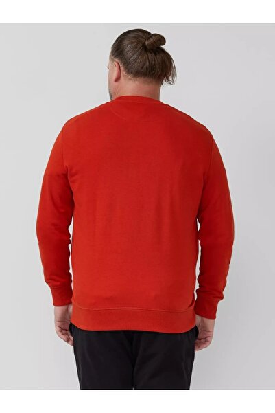 s.Oliver Big Sizes Men's big size blouse with neckline, logo, Regular Fit, Brick red