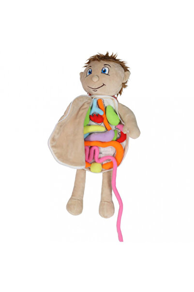 Ikonka Educational plush doll for children, human torso anatomy, boy model, size 48 x