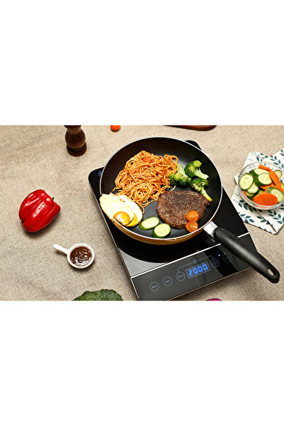 BlueFire Induction Electric Hotplate, 2000W, 10 Temperature Levels, Timer, Black