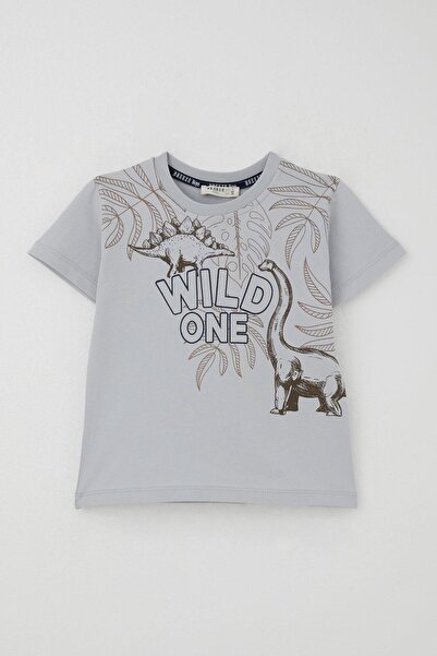 Breeze Boy's Shorts Set Strong Dinosaurs Printed 3-8 Years, Gray