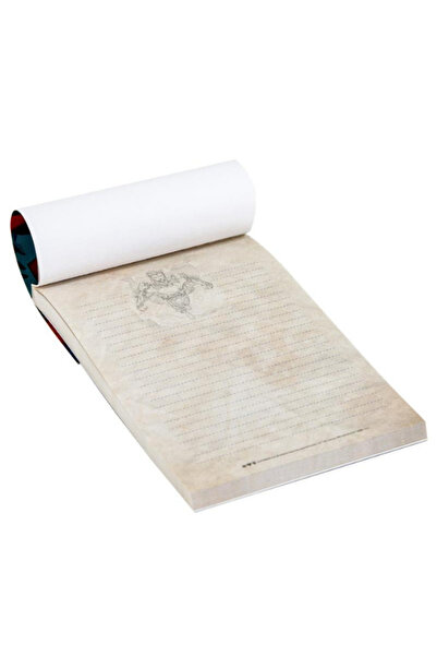 GiFi Notepad Set Looney Tunes Design Cover Memopad Licensed