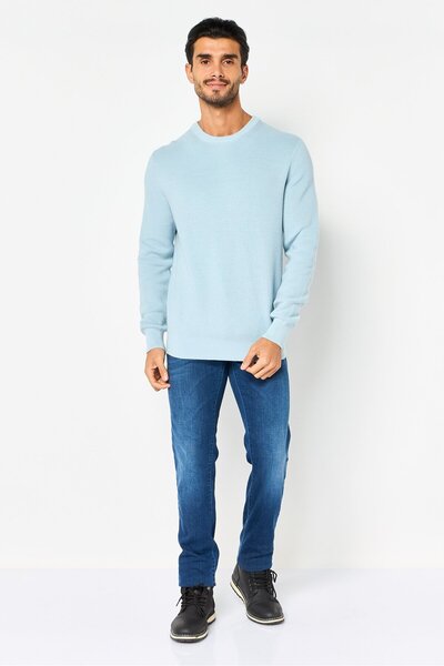 CELIO Men Crew Neck Textured Long Sleeve Sweater, Light Blue
