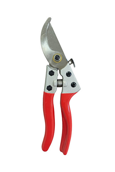 BACHQ Chinese manual tree shears V8