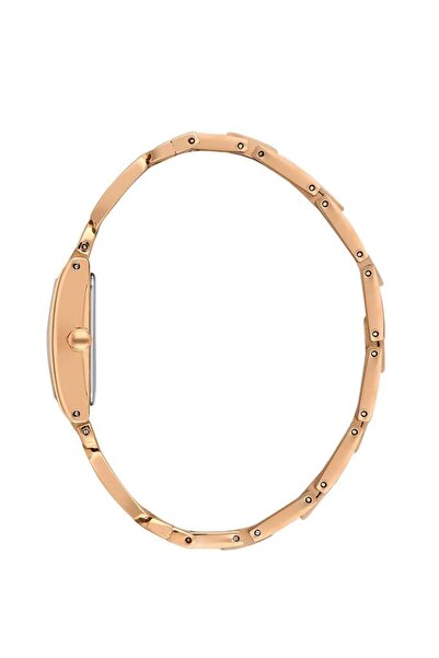 Daniel Klein Dk.3.10052-5 Women's Watch