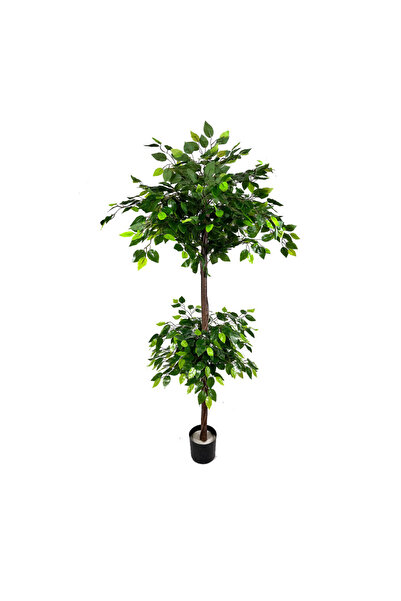OEM Ficus 180cm