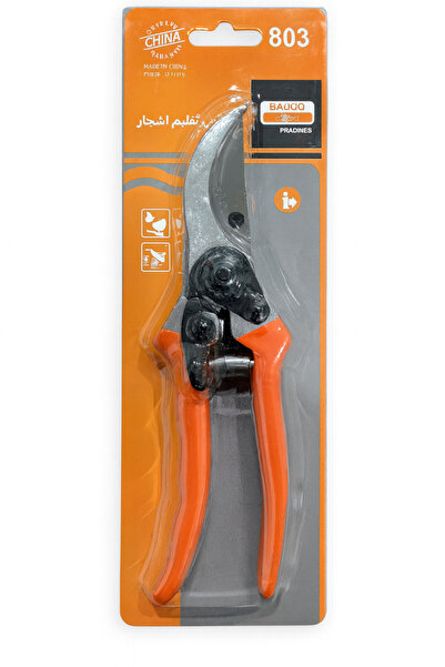 BACHQ Chinese manual tree shears