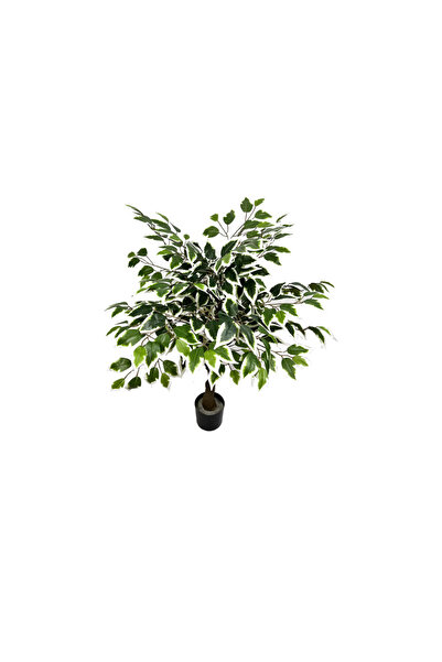 OEM Ficus 100cm