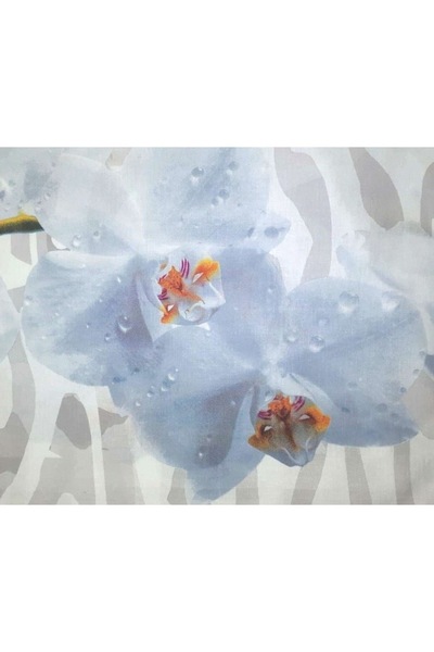 Sleeptime Orchid White Bedding Set, 100% Microfiber, 200x220 cm, Digital Print