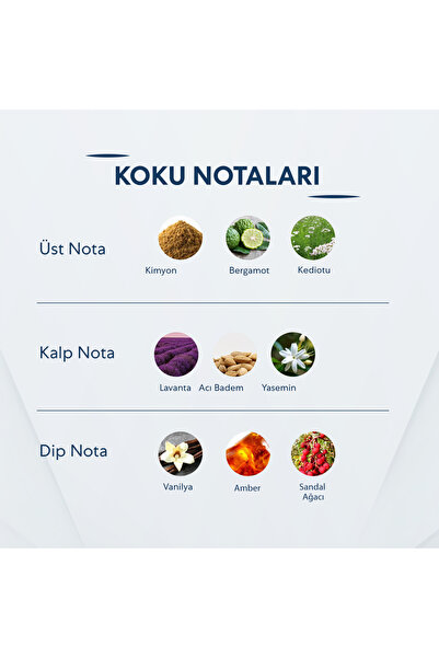 Bargello Breeze Men 50 ml Perfume Edp