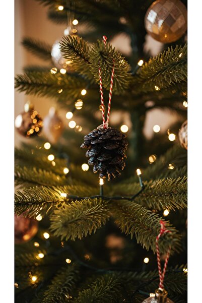 Elvoria زينة من الصنوبر الطبيعي المطلي باللون الفضي (8 قطع)