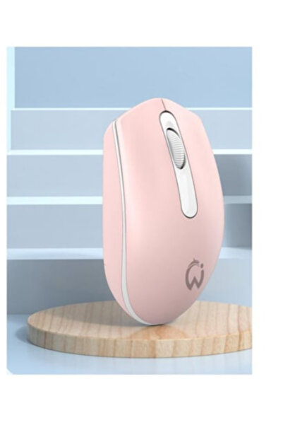 Datastar ZR224 M2 PİLLİ WİRELESS MOUSE