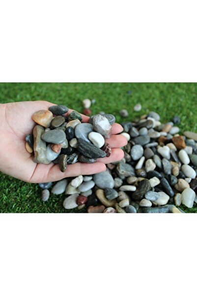 Ekodoğa Dere Çakıl Taşı 2 kg 1,5-3 cm Dolomit Taş Bahçe Peyzaj Saksı Teraryum...
