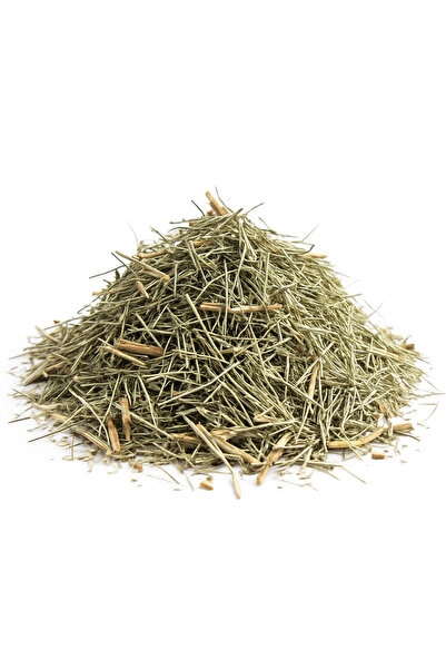 DiyetAktar Premium Kırkkilit Otu 100GR – %100 Doğal Kurutulmuş Bitki