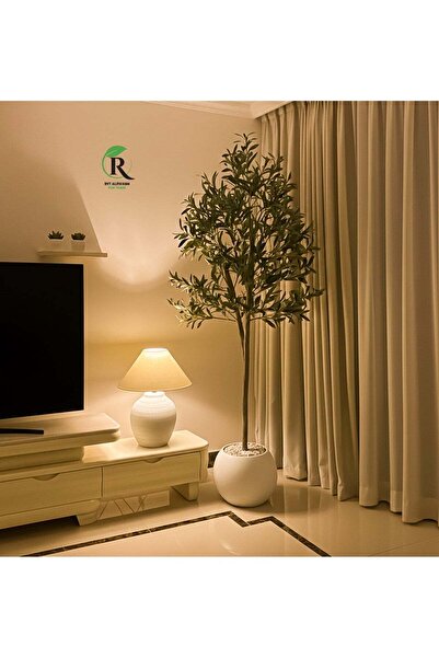 BYT ALRWASM FOR TRADE Fruit-bearing Olive Tree with Large White Pot, Attractive Design - 180cm / 150cm